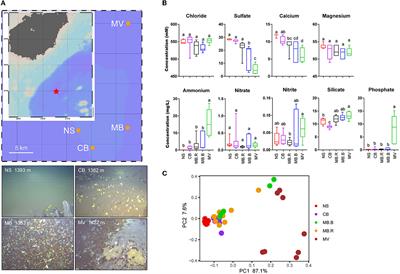 Frontiers Environmental Heterogeneity Shapes The C And S Cycling